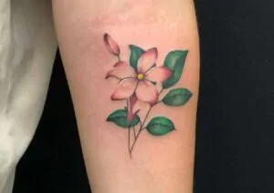 tattoo sonnen pflege