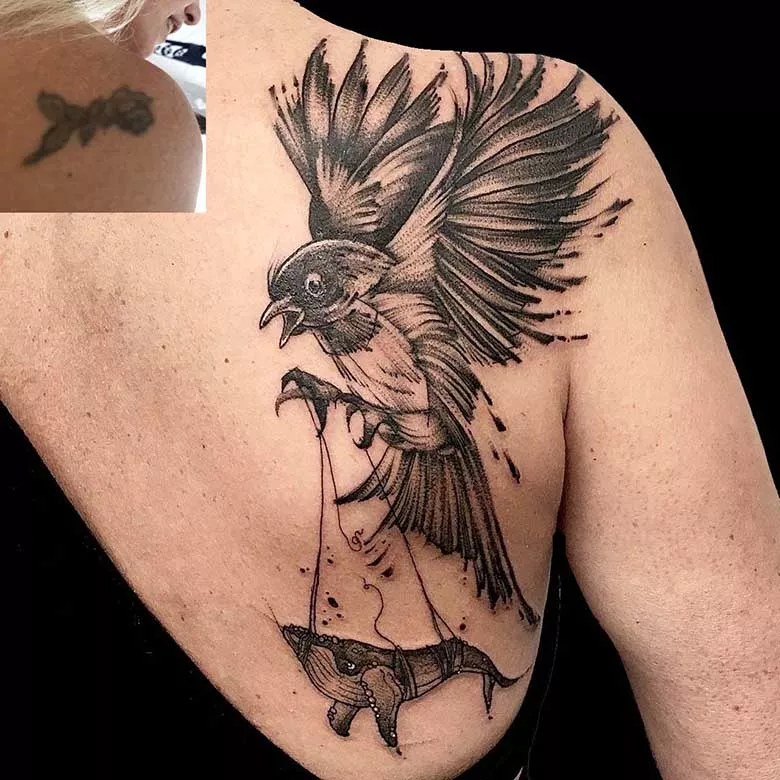 Cover up mit sketchy Vogel zieht Wal-Tattoo München