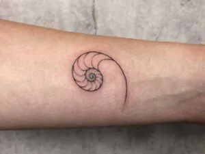 fineline Nautilus-Schnecke Tattoo am Arm tattoostudio münchen