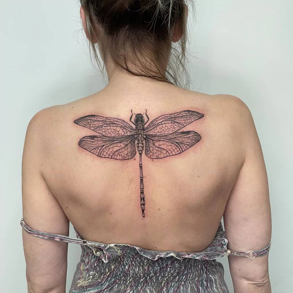 fineline tattoo einer Libelle auf dem Rücken