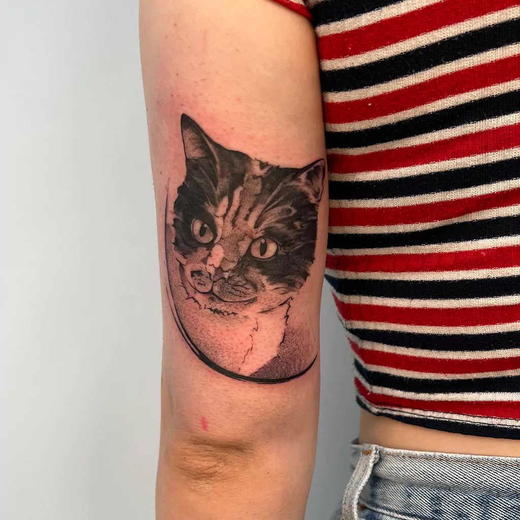 sketchy fineline tattoo einer Katze