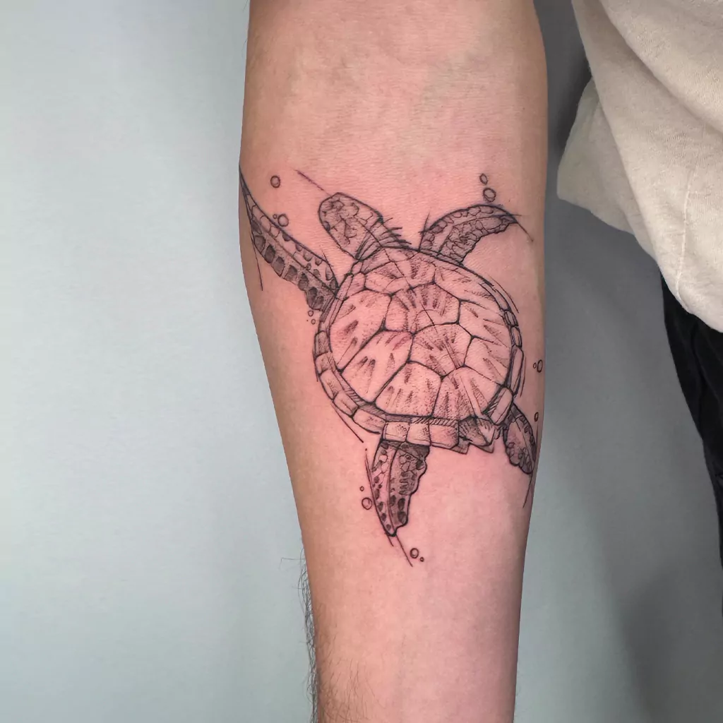 sketchy tattoo einer Wasserschildkröte